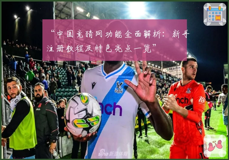 “中国竞猜网功能全面解析：新手注册教程及特色亮点一览”